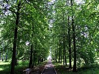 flora_aks3.jpg