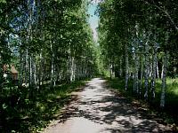 flora_aks4.jpg